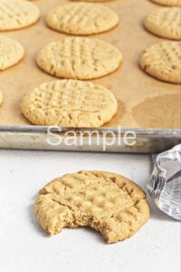 Vegan Peanut Butter Cookies - Set 1