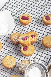 Vegan GF Financiers - Set 2