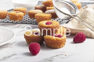 Vegan GF Financiers - Set 2