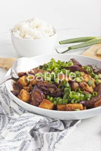 Sticky Ginger Eggplant and Tofu - Set 1