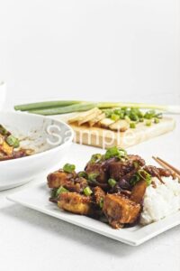 Sticky Ginger Eggplant and Tofu - Set 1