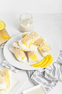 Mango Sticky Rice Spring Rolls - Set 1