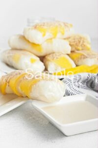 Mango Sticky Rice Spring Rolls - Set 1