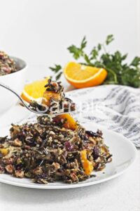 Butternut Wild Rice Salad - Set 1