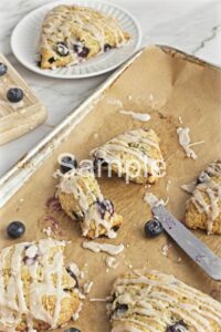 Blueberry Scones - PLR