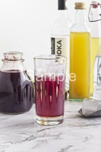Blueberry Pineapple Fizz PLR