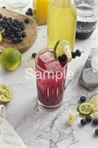 Blueberry Pineapple Fizz PLR