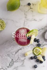 Blueberry Pineapple Fizz PLR