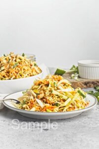 Crunchy Chicken Ramen Salad - Set 3