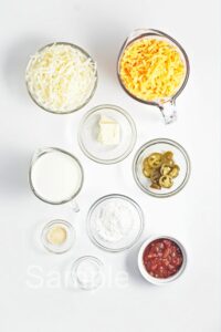 Spicy Nacho Cheese Dip - Set 5