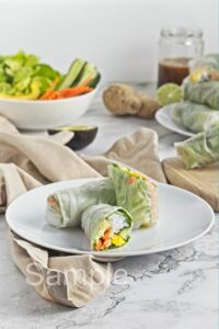 Vegetable Summer Rolls - Set 2