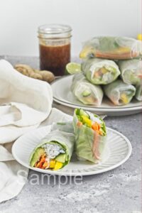 Vegetable Summer Rolls - Set 3