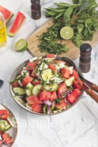 Watermelon Salad - Set 4