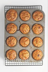 Zucchini Chocolate Chip Muffins - Set 2