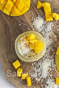 Mango Overnight Oats - Set 1