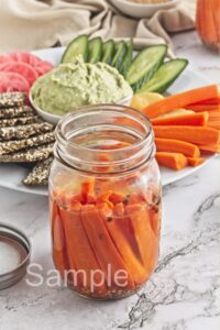 Pickled Carrots - Set 4