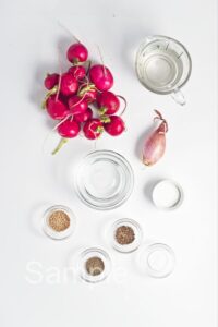 Pickled Radishes - Set 5