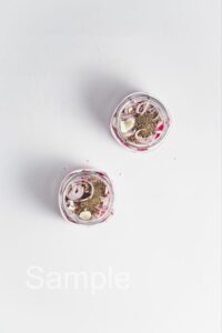Pickled Radishes - Set 5