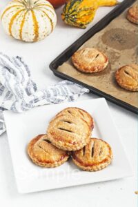 Pumpkin Hand Pies - Set 1