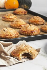 Pumpkin Hand Pies - Set 2