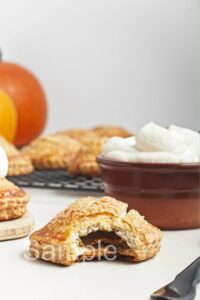 Pumpkin Hand Pies - Set 4