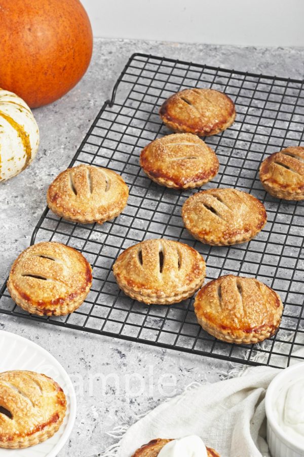 Pumpkin Hand Pies - Set 5