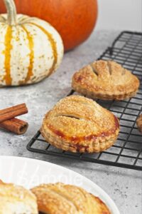 Pumpkin Hand Pies - Set 5