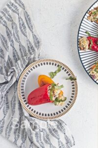 Rice Stuffed Mini Peppers - Set 3