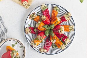 Rice Stuffed Mini Peppers - Set 3
