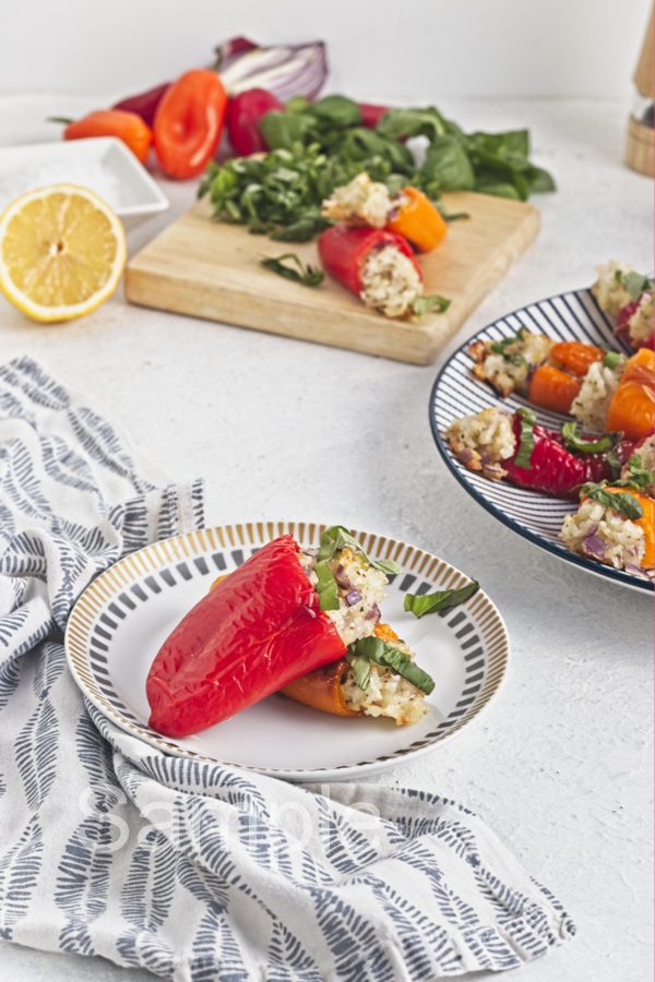 Rice Stuffed Mini Peppers - Set 3