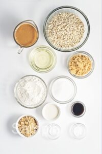 Vegan Peanut Butter Oat Cookies - Set 4