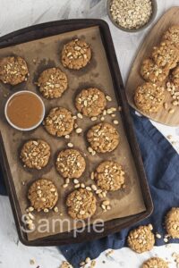 Vegan Peanut Butter Oat Cookies - Set 1