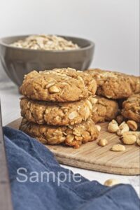 Vegan Peanut Butter Oat Cookies - Set 1