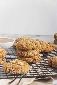 Vegan Peanut Butter Oat Cookies - Set 3