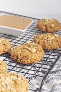 Vegan Peanut Butter Oat Cookies - Set 4