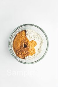 Pumpkin Scones - Set 1