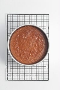 Apple Sauce Spice Cake - Set 1