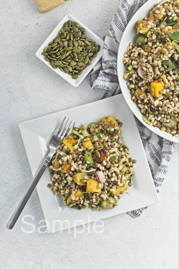 Butternut Barley Lentil Salad - Set 1