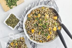 Butternut Barley Lentil Salad - Set 1