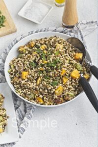 Butternut Barley Lentil Salad - Set 1