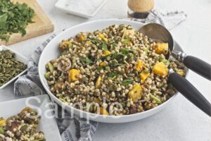 Butternut Barley Lentil Salad - Set 1