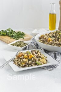 Butternut Barley Lentil Salad - Set 1