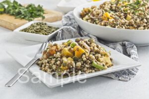 Butternut Barley Lentil Salad - Set 1