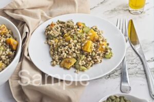 Butternut Barley Lentil Salad - Set 2