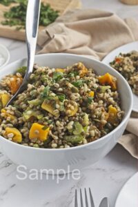 Butternut Barley Lentil Salad - Set 2