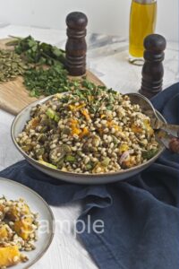 Butternut Barley Lentil Salad - Set 3