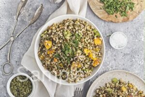 Butternut Barley Lentil Salad - Set 4