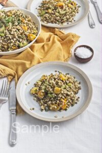 Butternut Barley Lentil Salad - Set 5