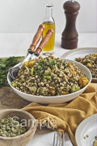 Butternut Barley Lentil Salad - Set 5