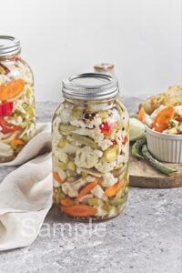 Giardiniera Vegetables - Set 4